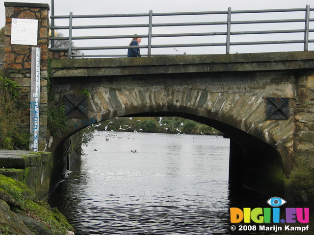 24225 19 arches bridge Arklow Bridge